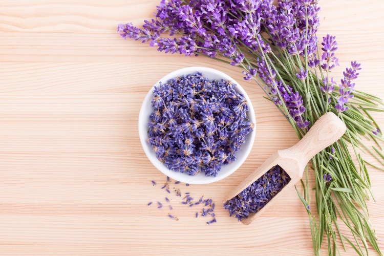 Lavanda