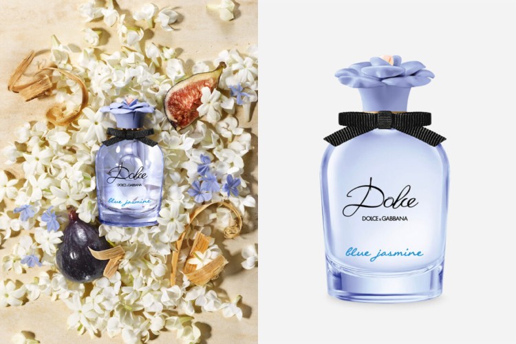 dolce-blue-jasmine-7