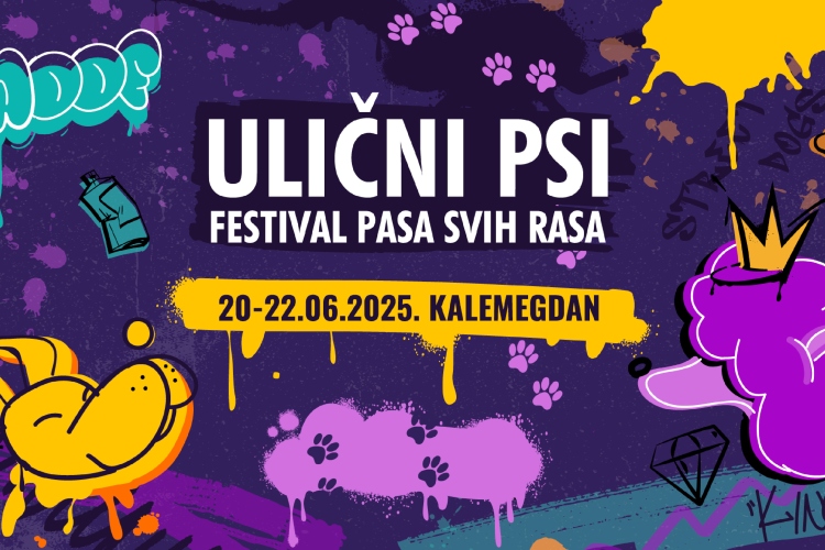 festival-pasa-svih-rasa-ulicni-psi-tradicionalno-na-kalemegdanu-7