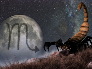 Šta treba da znate o Škorpiji pre odlaska na sastanak?