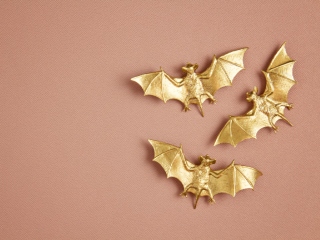 značenje i upotreba u feng shuiju