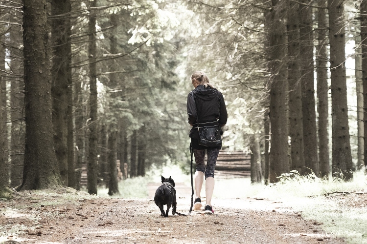 Korisni saveti za sve one koji kreću u avanturu trčanja sa svojim psom