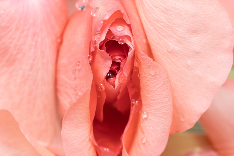 7 navika zbog kojih vaša vagina ima loš miris