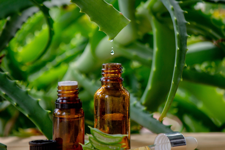 Na koje sve načine možete koristiti ulje Aloe Vere?