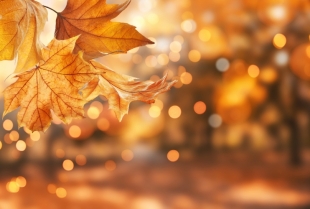 Kojim znacima septembar neće biti najsrećniji mesec u godini?