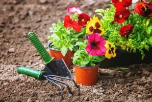 Saveti za bolju brigu o bašti