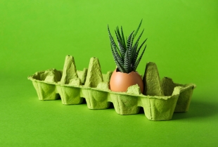 Jaja u obliku kaktusa: savršena za uskršnju dekoraciju doma