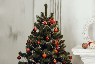 Praznična dekoracija: 6 DIY ukrasa za najlepšu i ekološki prihvatljivu jelku