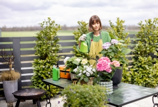 Prolećno uređenje bašte i terase