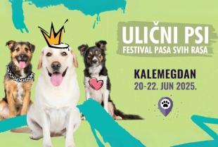 Festival pasa svih rasa “Ulični psi” tradicionalno na Kalemegdanu