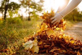 Ne bacajte lišće napravite kompost
