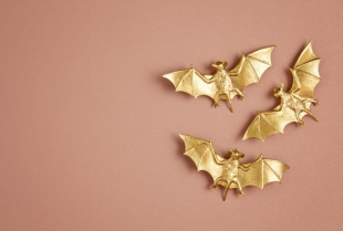 Slepi miš: značenje i upotreba u feng šuiju