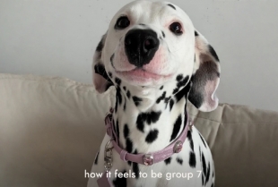 Da li si već u Group 7? Ako nisi, propuštaš viralni fenomen