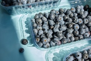Zašto su smrznute borovnice bolje od svežih: superhrana koja radi za vas
