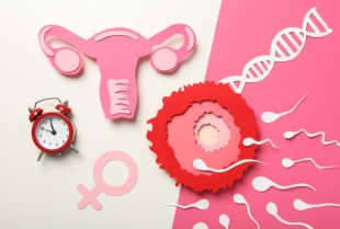 Menopauza posle 45: Vitamini, minerali i suplementi koji mogu olakšati ovaj životni period