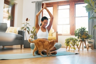 Da li mačke stvarno oslobađaju stresa?