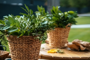 Pinterest inspiracija: 6 originalnih načina da zamenite saksije za cveće korpama